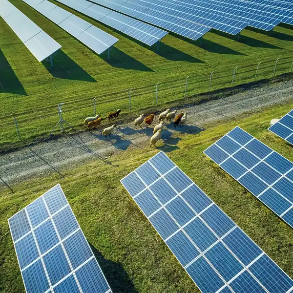 Kitchen and Bedroom Newcastle News - 5 Agricultural business energy management tips