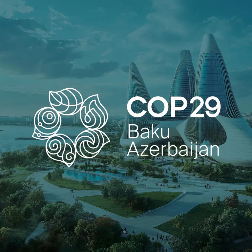Kitchen and Bedroom Newcastle News - Summarising COP29 and its impact on UK businesses